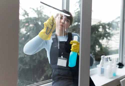 Nettoyage de vitres intérieures et extérieures à Baule